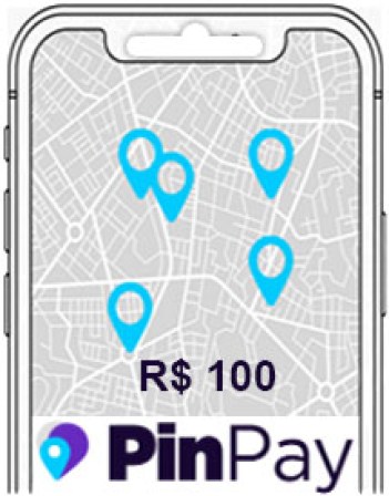 pinpay100