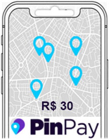 pinpay30